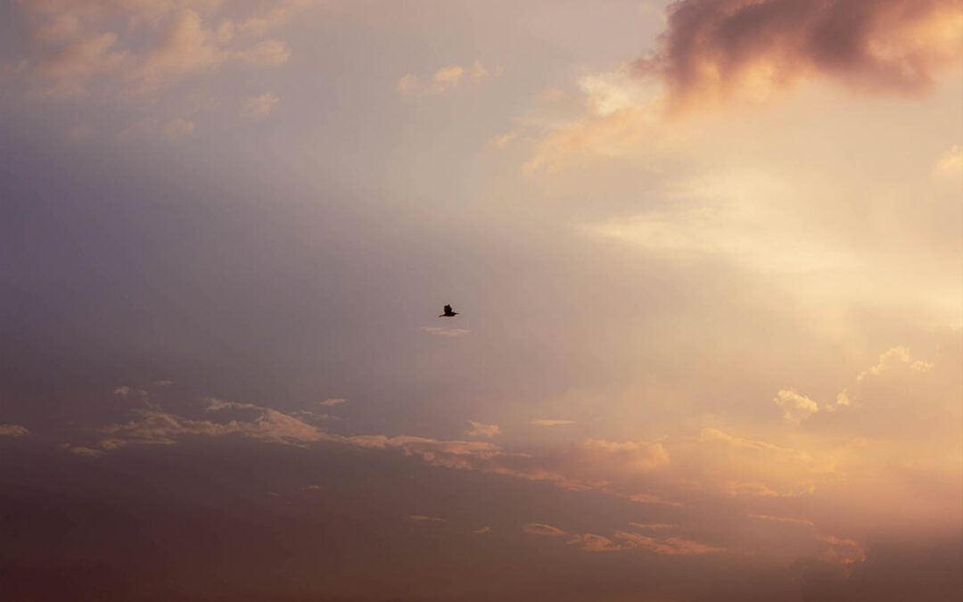 Mindfulness: El 80% reporta menos ansiedad